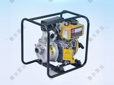 便攜式柴油機(jī)泵